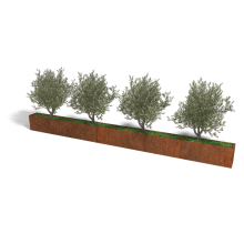 Cortenstaal plantenbak Rechthoek XL 500x30 hoogte=30cm opties=bodemplaat