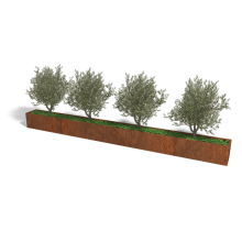 Cortenstaal plantenbak Rechthoek XL 500x40 hoogte=40cm opties=geen bodemplaat