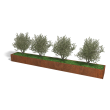 Cortenstaal plantenbak Rechthoek XL 500x60 hoogte=30cm opties=bodemplaat