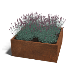 Cortenstaal plantenbak Vierkant 100x100 hoogte=80cm opties=bodemplaat