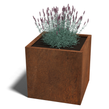 Cortenstaal plantenbak Vierkant 70x70 hoogte=70cm opties=bodemplaat