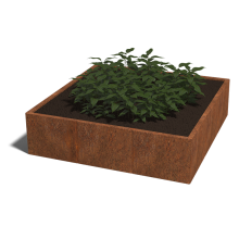 Cortenstaal plantenbak Vierkant XL 150 hoogte=30cm