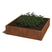 Cortenstaal plantenbak Vierkant XL 160 hoogte=30cm