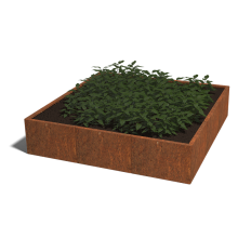 Cortenstaal plantenbak Vierkant XL 180 hoogte=30cm