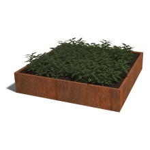 Cortenstaal plantenbak Vierkant XL 200 hoogte=100cm