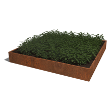 Cortenstaal plantenbak Vierkant XL 300 hoogte=30cm
