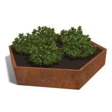 Cortenstaal plantenbak Zeshoek 120 hoogte=30cm