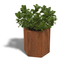 Cortenstaal plantenbak Zeshoek 20 hoogte=100cm opties=bodemplaat